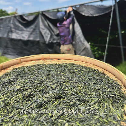 【福知山産玉露 ふくちやま茶50ｇ】 玉露 緑茶 茶葉 リーフ 京都 福知山  日本茶 健康茶  ※リーフタイプ・ティーバッグではありません