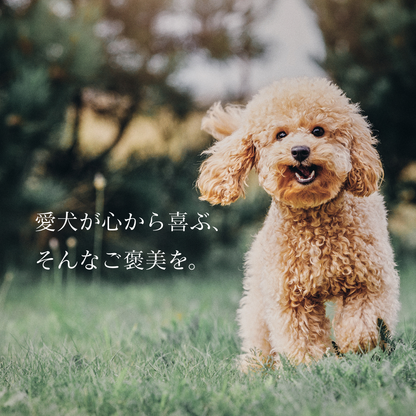 Rawto Venison Jerky 鹿肉ジャーキー 25g 55g 犬 おやつ 無添加