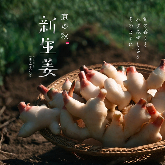 京都産 露地新生姜「京の秋 新生姜」｜農薬・化学肥料・除草剤不使用 産地直送