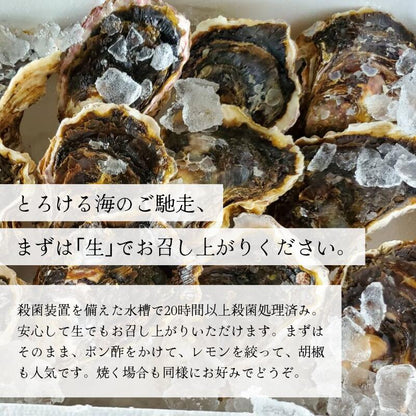 【送料無料】舞鶴産 岩牡蠣（岩ガキ）中サイズ 10個入（300g～350g）産地直送