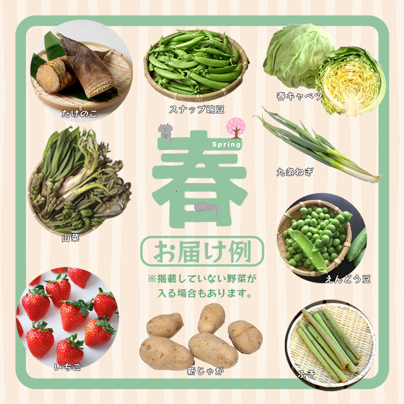 【送料無料】京都府舞鶴産中心 季節の野菜・果物セット 6～8種類 詰め合わせ｜旬の京野菜おまかせBOX