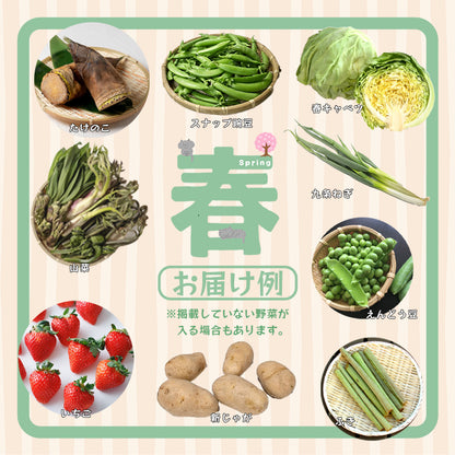 【送料無料】京都府舞鶴産中心 季節の野菜・果物セット 6～8種類 詰め合わせ｜旬の京野菜おまかせBOX