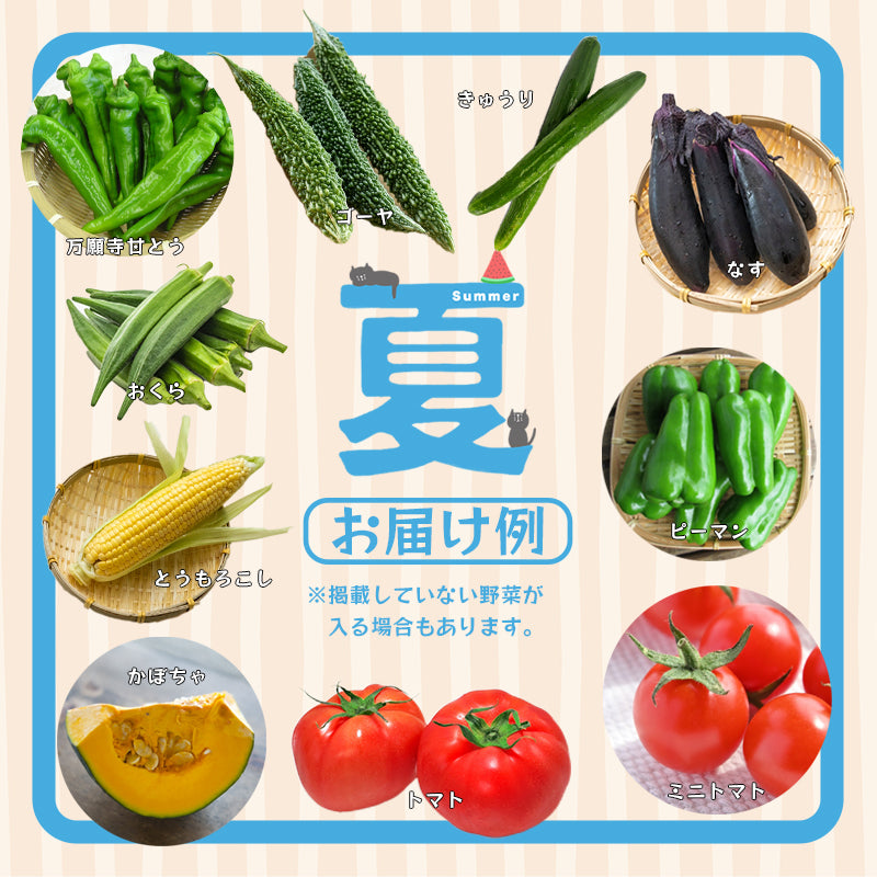 【送料無料】京都府舞鶴産中心 季節の野菜・果物セット 6～8種類 詰め合わせ｜旬の京野菜おまかせBOX