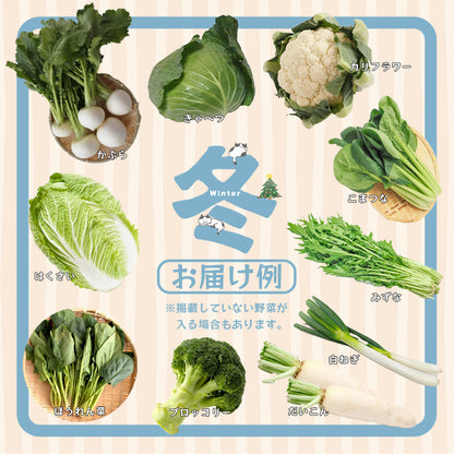 【送料無料】京都府舞鶴産中心 季節の野菜・果物セット 6～8種類 詰め合わせ｜旬の京野菜おまかせBOX