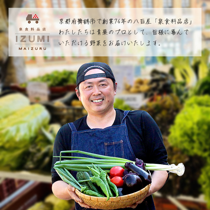 【送料無料】京都府舞鶴産中心 季節の野菜・果物セット 6～8種類 詰め合わせ｜旬の京野菜おまかせBOX