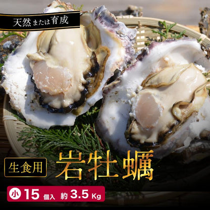 【送料無料】舞鶴産 岩牡蠣（岩ガキ）小サイズ 15個入（250ｇ～300ｇ）産地直送