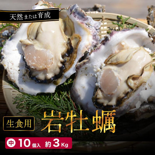 【送料無料】舞鶴産 岩牡蠣（岩ガキ）中サイズ 10個入（300g～350g）産地直送