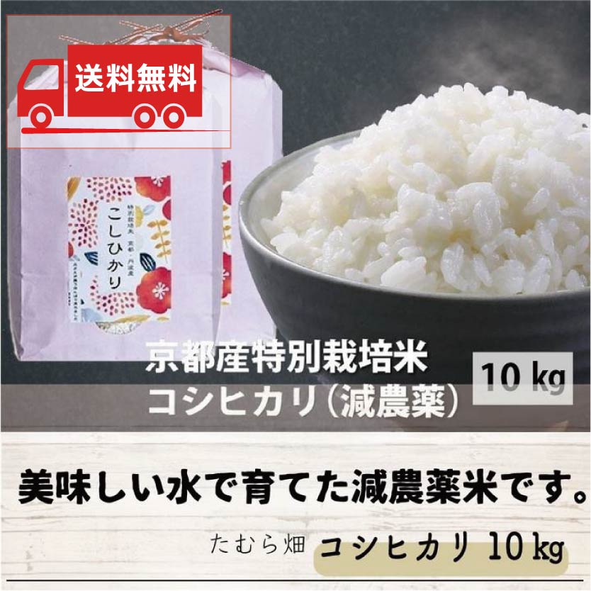 【送料無料】新米 令和5年産 京都産特別栽培米コシヒカリ（減農薬）10kg