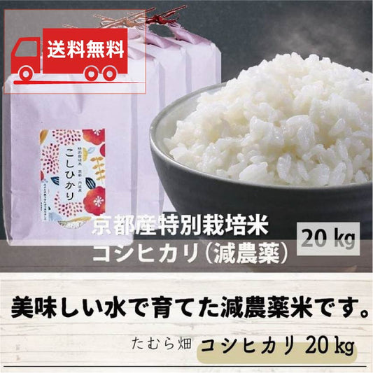 【送料無料】新米 令和5年産 京都産特別栽培米コシヒカリ（減農薬）20kg
