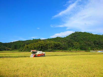 【送料無料】新米 令和5年産 低農薬　有機栽培　コシヒカリ　白米　10ｋｇ
