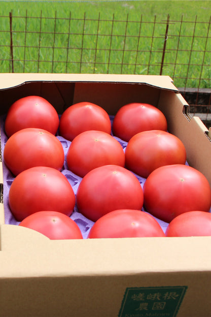 【送料無料】舞鶴産　トマト