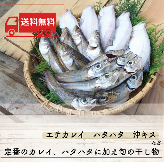 【送料無料】京丹後の地元魚屋橘商店が作ったお任せ干物セット（橘商店）