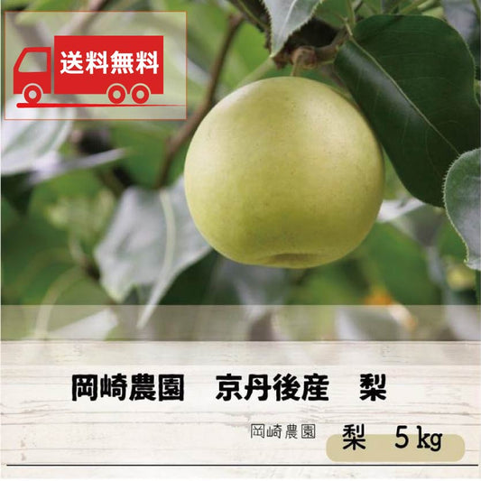 【送料無料】岡崎農園 京丹後産 梨 5kg