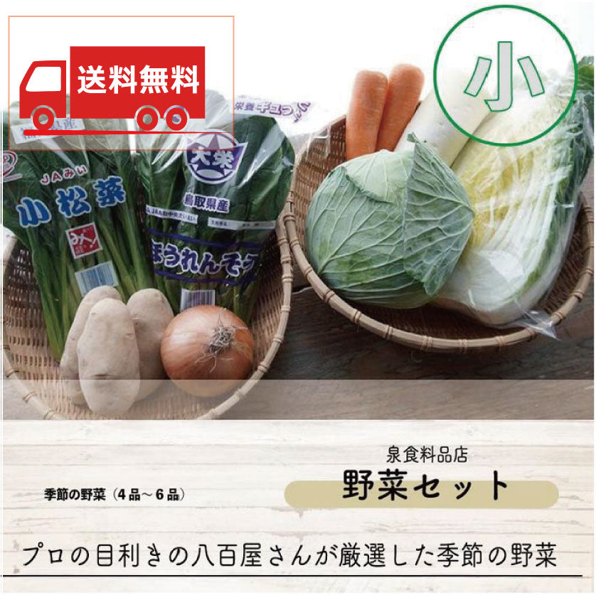 【送料無料】季節のおまかせ野菜セット（小）約２人前