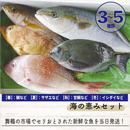 舞鶴の海の恵みセット