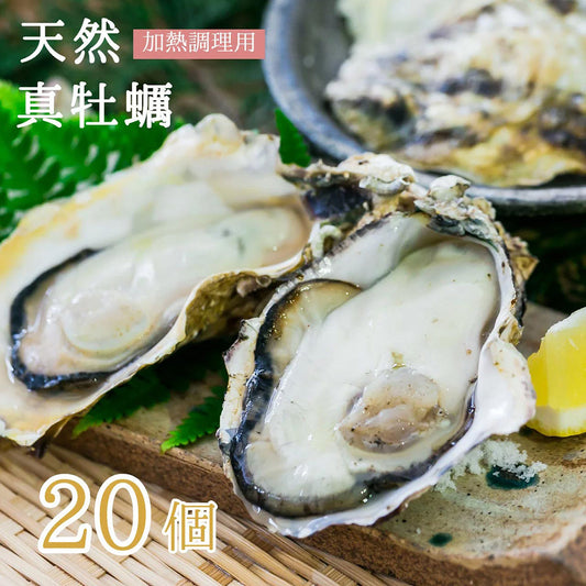 【送料無料】舞鶴湾産 天然 真牡蠣 20個入（加熱用）｜2年以上育った希少な大粒牡蠣 ※予約商品