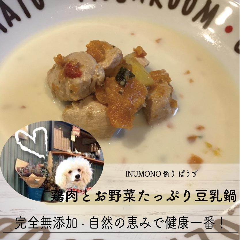 【ワンコ＆ニャンコのご飯】鶏肉とお野菜たっぷり豆乳鍋