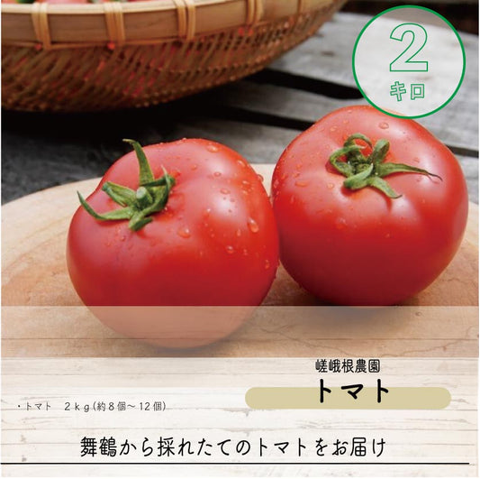 【送料無料】舞鶴産　トマト