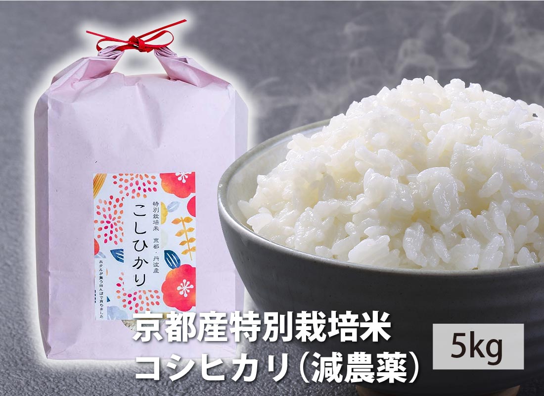 【送料無料】新米 令和5年産 京都産特別栽培米コシヒカリ（減農薬）5kg